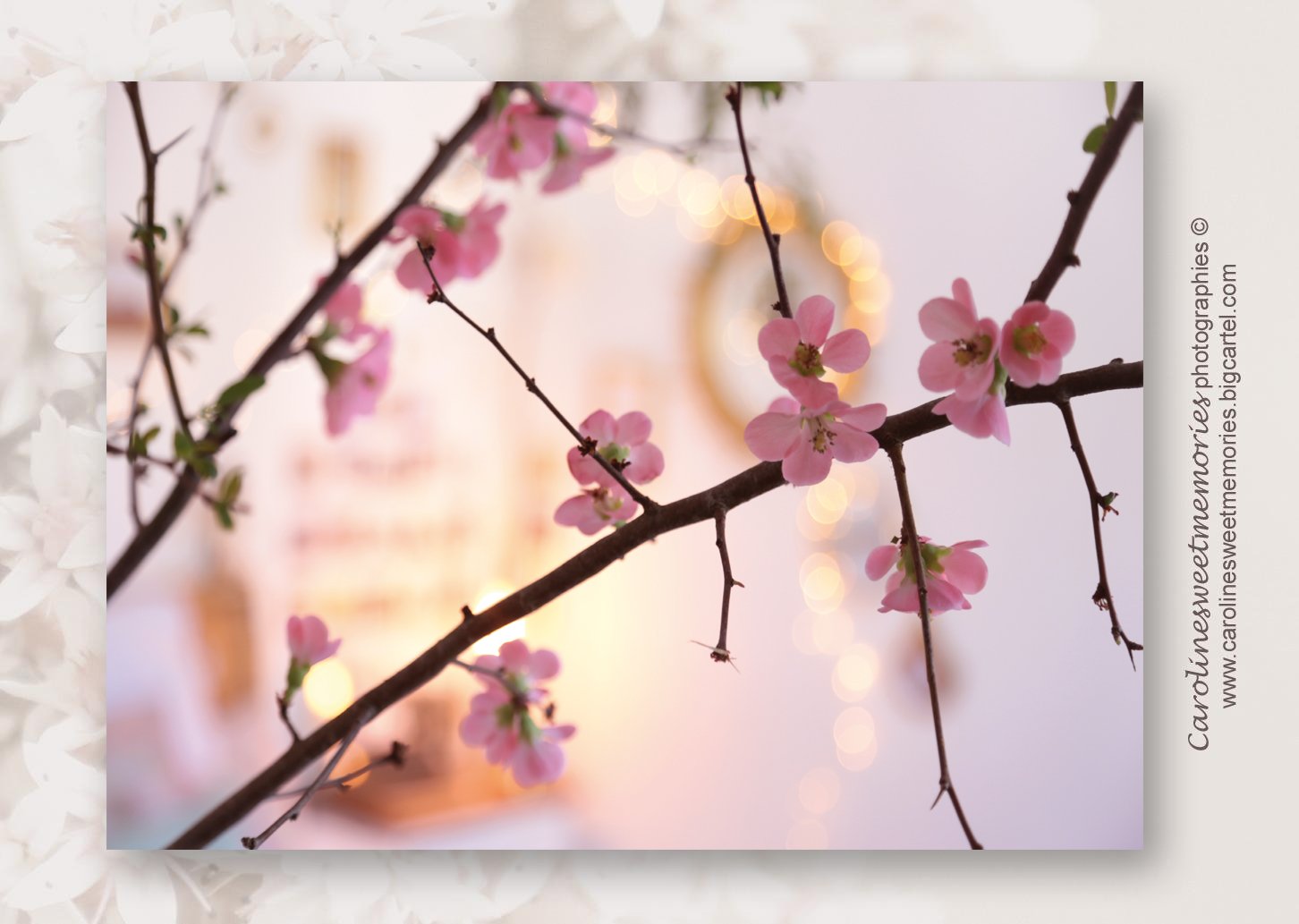 Image of Décor branche de cerisier | carte postale