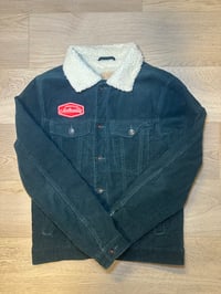 Image 2 of Mariah the Scientist Sherpa 