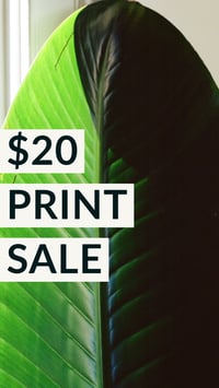 $20 Print Sale