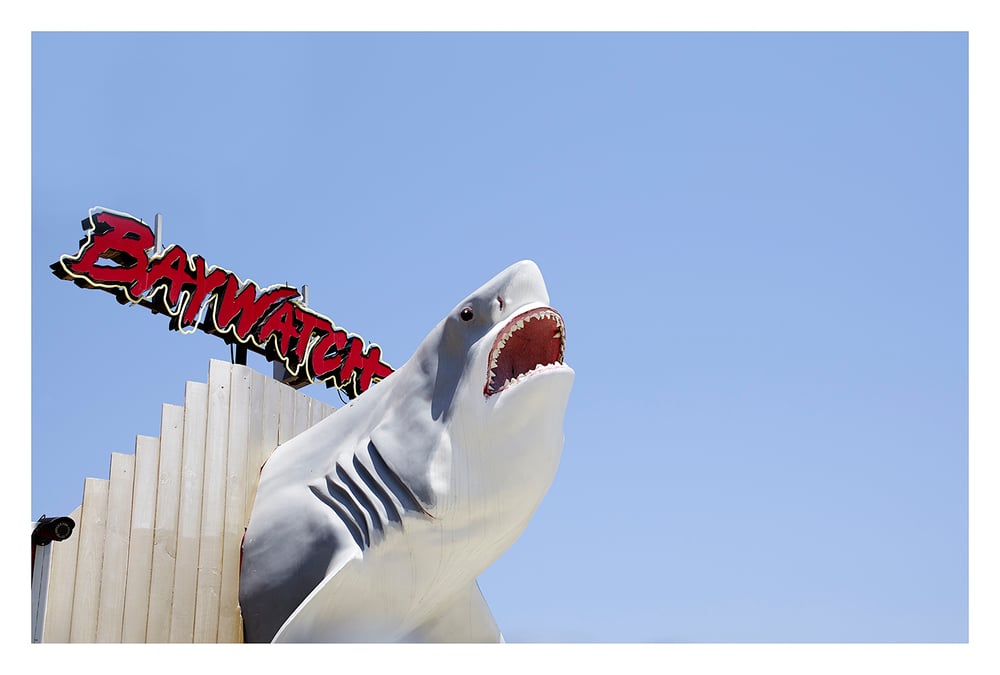 'Shark Attack'