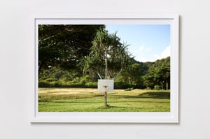 'Tropical Hoops'