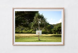 'Tropical Hoops'