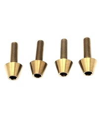 Image 1 of Titanium Grom Front Fender Bolts