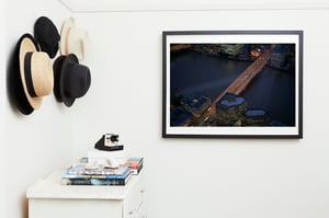 'Organised Chaos iii'