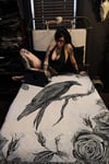 A MURDER OF CROWS: Rosalva Crow