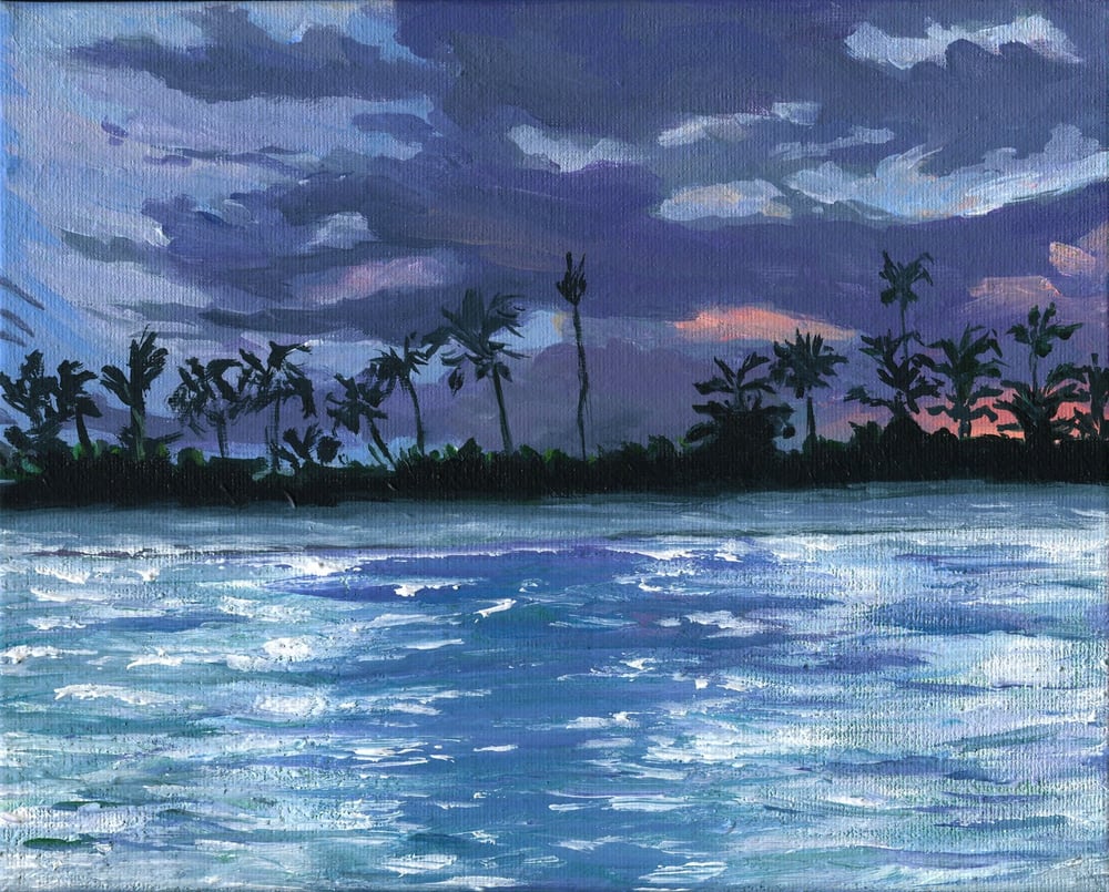 Image of Twilight in Punta Cana