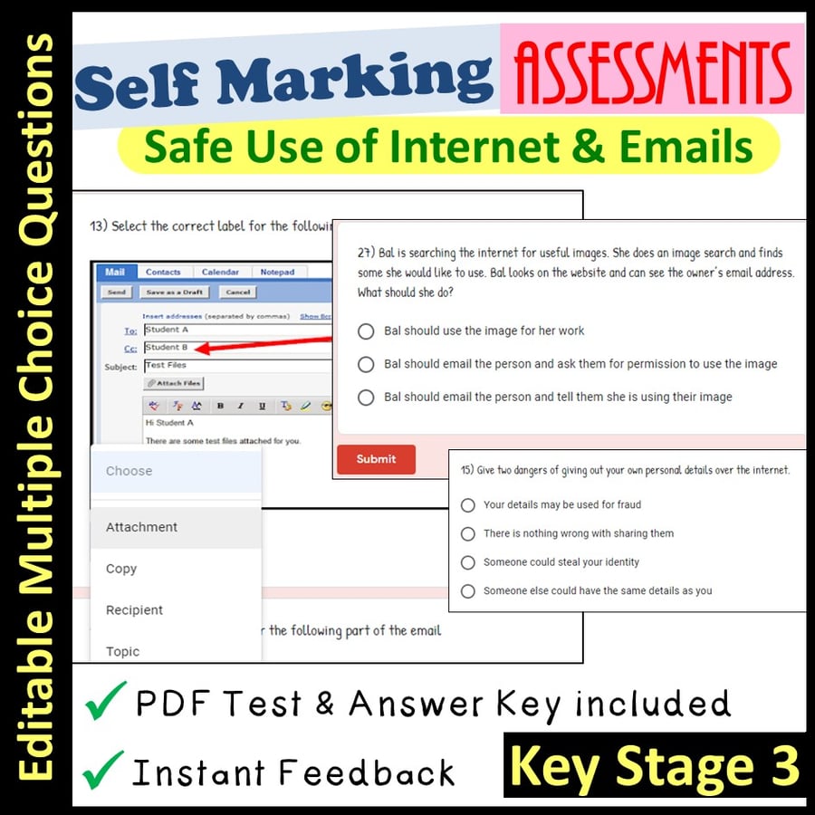 Image of Technology Assessments Safe Use of Internet and Email | Self Marking (Key Stage 3)