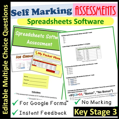 Image of Spreadsheets Software Assessment | Self Marking (Key Stage 3)