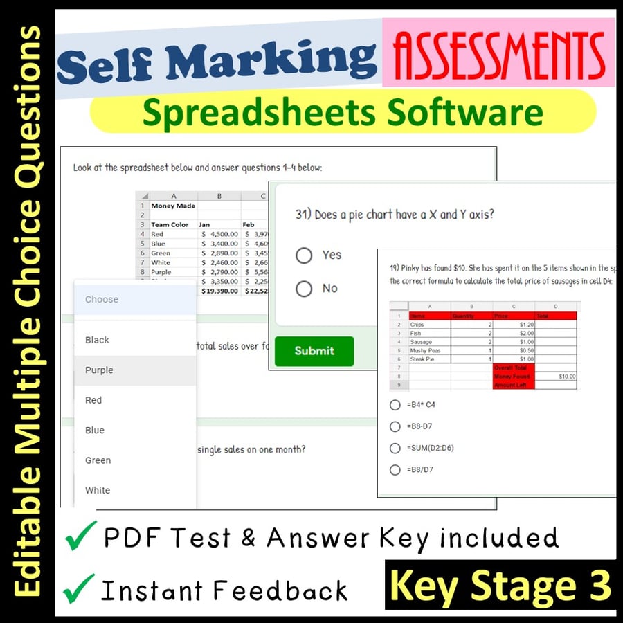 Image of Spreadsheets Software Assessment | Self Marking (Key Stage 3)