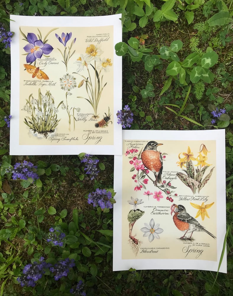 Image of Spring Print Pair