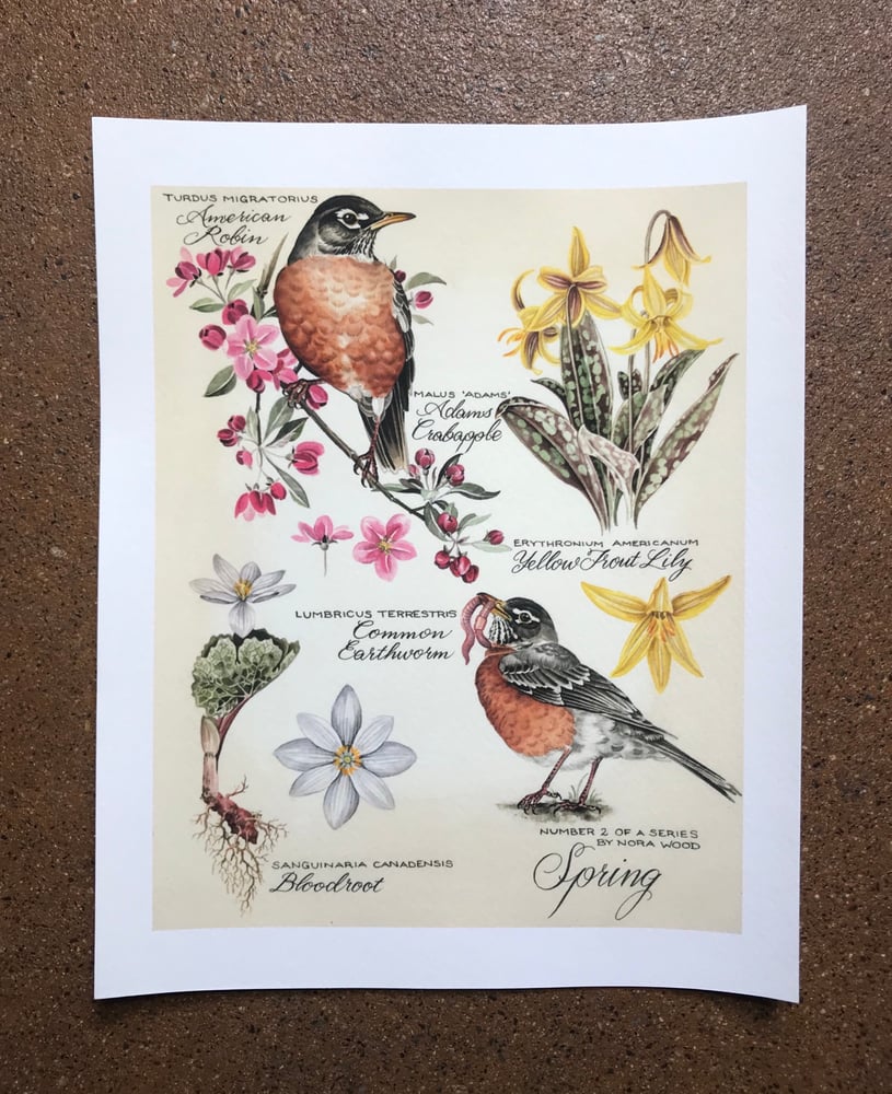 Image of Spring, Second in Season Series