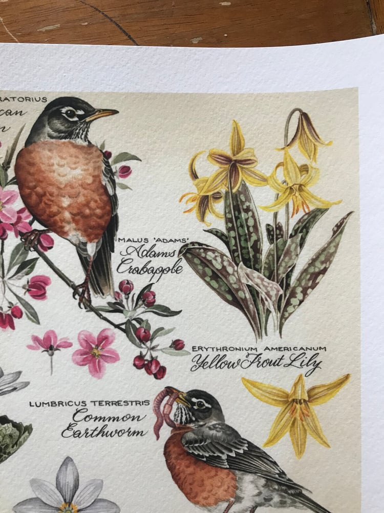 Image of Spring, Second in Season Series