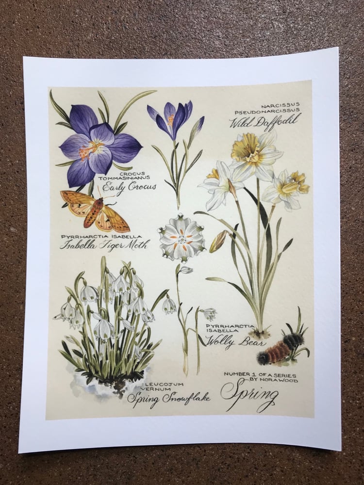 Image of Spring, First of Season Series