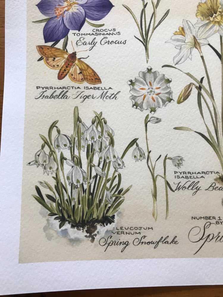 Image of Spring, First of Season Series