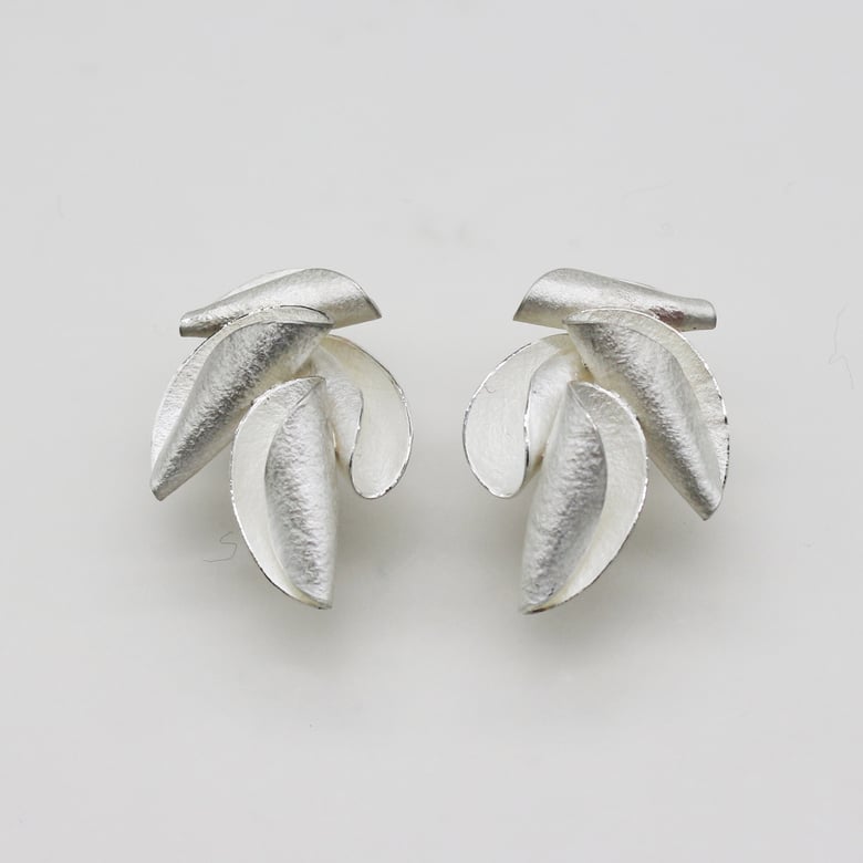 Image of curly shell 4 elements earrings