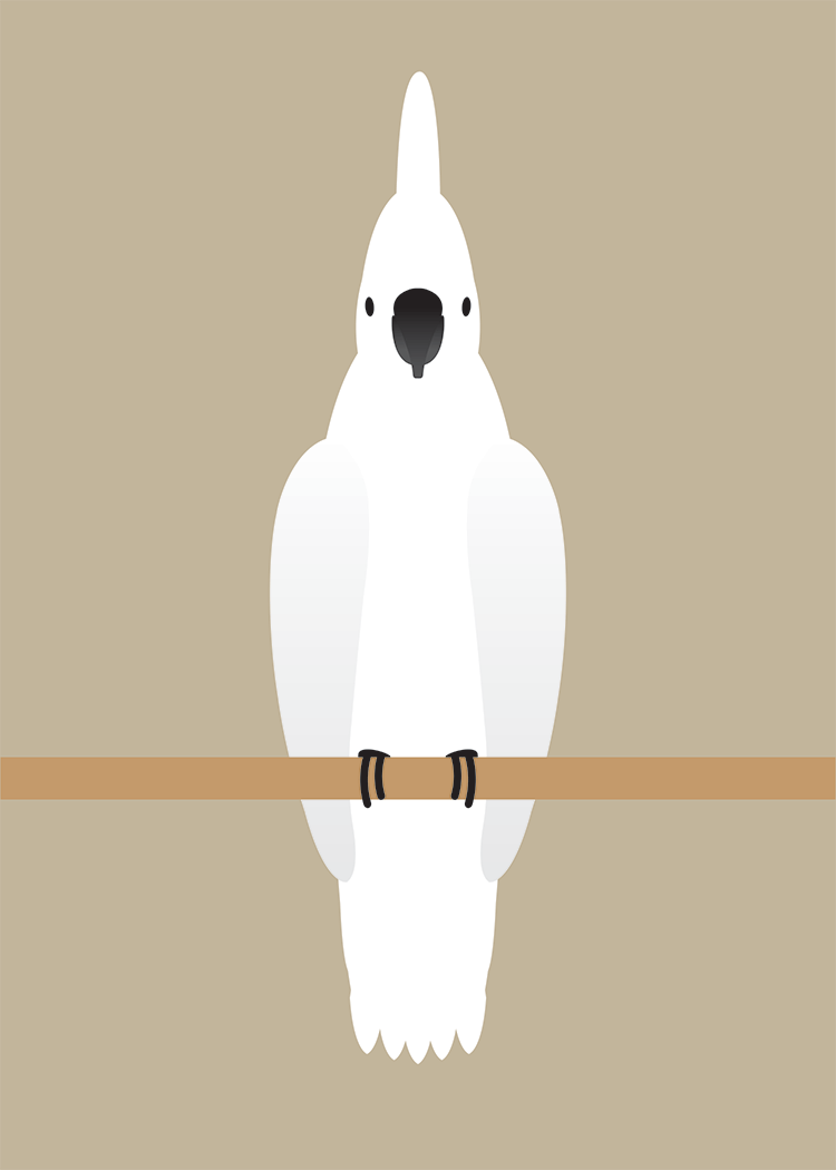 African Grey/Cockatoo/Hummingbird Collection