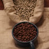 Colombian - Sierra Nevada