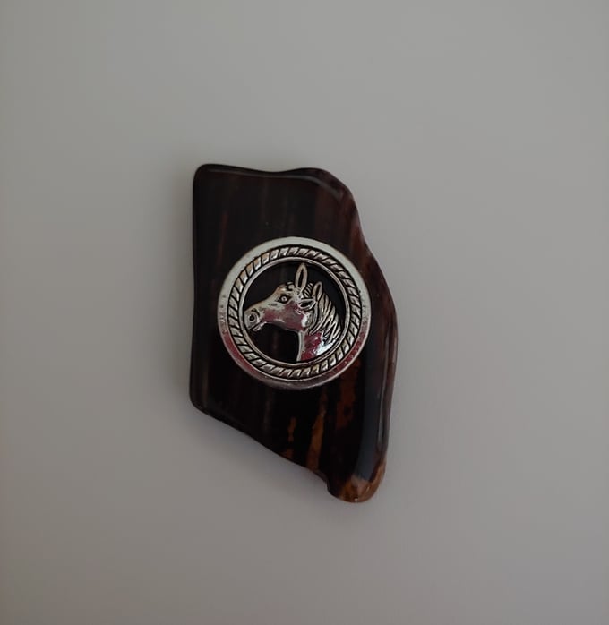 Image of Petrified Wood Magnetic Pin #20-236