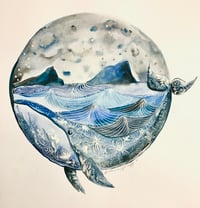 Luna the full moon whale 