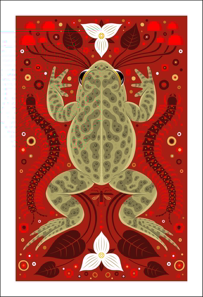 Image of Fowlers Toad Print