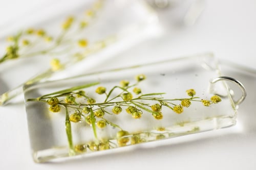 Image of Wormwood (Artemisia absinthium) - Pressed Earrings #1