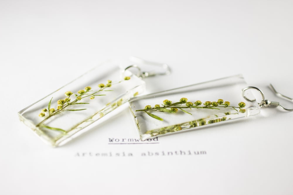 Image of Wormwood (Artemisia absinthium) - Pressed Earrings #2