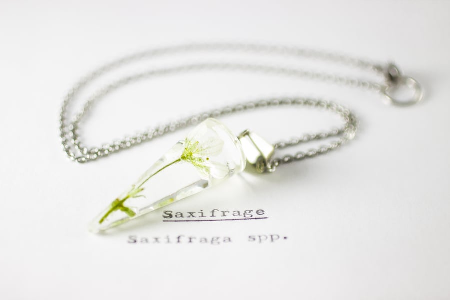 Image of Saxifrage (Saxifraga) - Conical Pendant #2