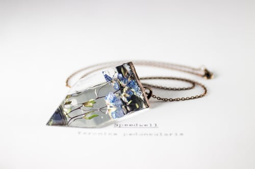 Image of Speedwell (Veronica peduncularis) - Small Copper Prism Necklace #3