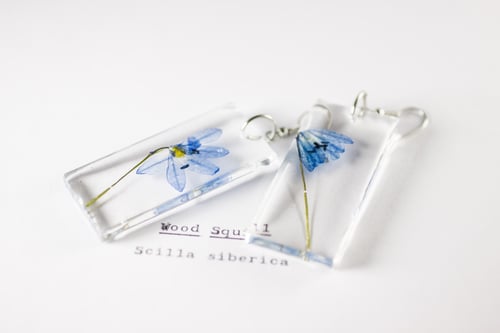 Image of Wood Squill (Scilla siberica) - Pressed Earrings #3