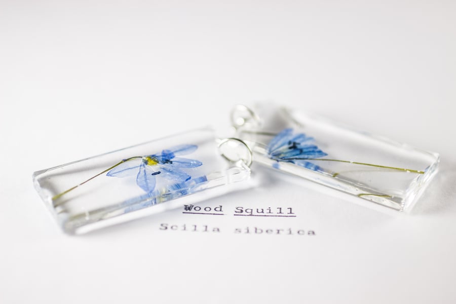 Image of Wood Squill (Scilla siberica) - Pressed Earrings #3