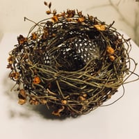 Image 2 of Petite Nest - The photographed nest is now sold but more small nests will be added soon .