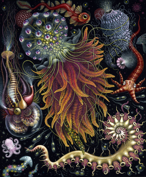 Image of HYDROZOA • SIGNED OPEN EDITION