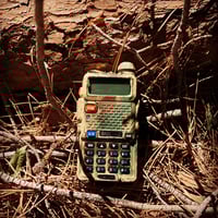 Image 1 of Rhodesian BrushStroke