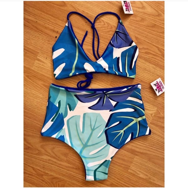 Image of Xia x Blue monstera 