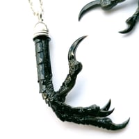 Image 3 of Preserved Natural Magpie Claw Necklace