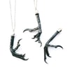 Preserved Natural Magpie Claw Necklace