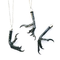 Image 1 of Preserved Natural Magpie Claw Necklace