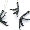 Preserved Natural Magpie Claw Necklace