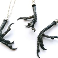 Image 2 of Preserved Natural Magpie Claw Necklace