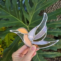Image 3 of Peach Ice Cream Hummingbird