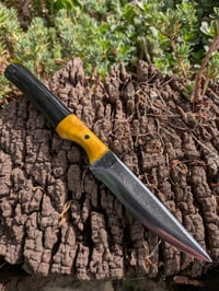 Image 1 of COMPANION #2