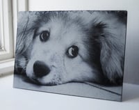 Image 3 of Pet Laser Engraved On A4 Slate