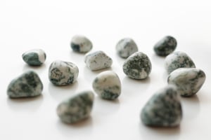 Image of Tree Agate
