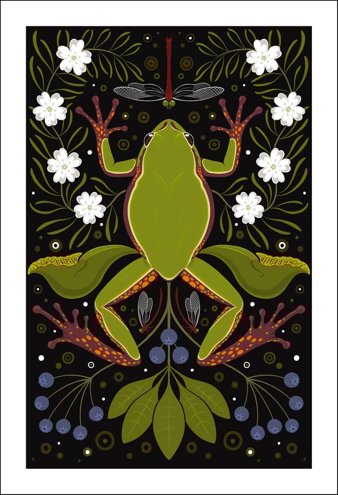 Image of Pine Barrens Tree Frog Print
