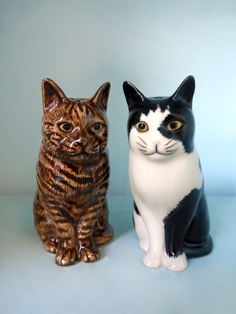 Image of Tabby / Black & White Cat Salt and Pepper