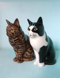 Image 2 of Tabby / Black & White Cat Salt and Pepper