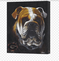 Image 2 of Bulldog