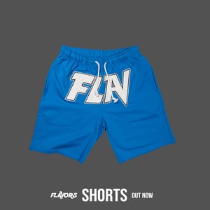 Image of Blue FLAV Shorts