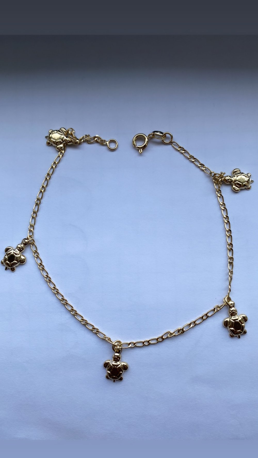 Save the turtles anklet