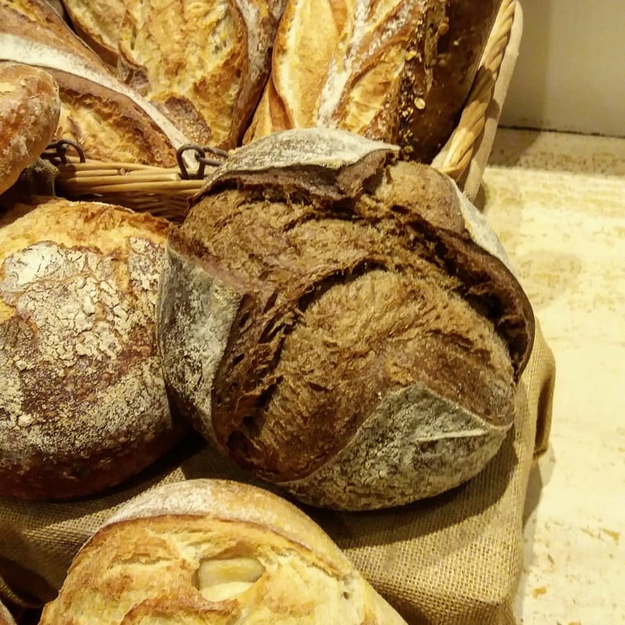 Image of PANS RODONS